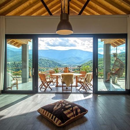 Green Hill Luxury Villa Berkovica Esterno foto