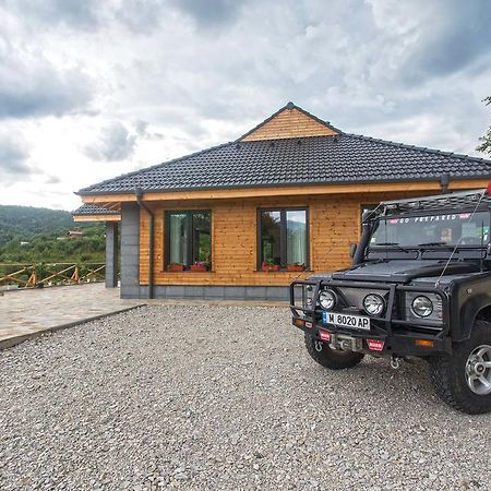 Green Hill Luxury Villa Berkovica Esterno foto